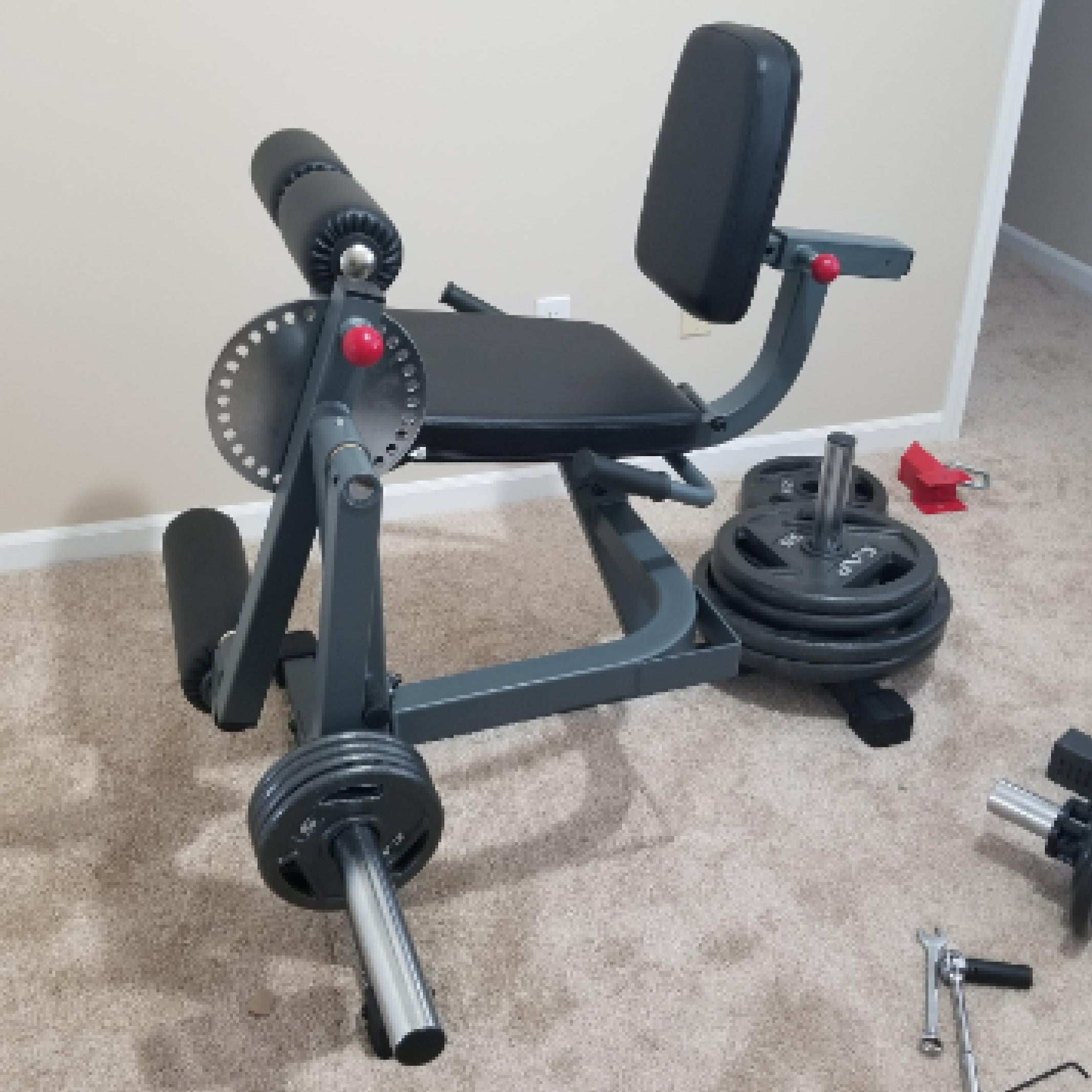 Rotary Leg Curl Machine at home